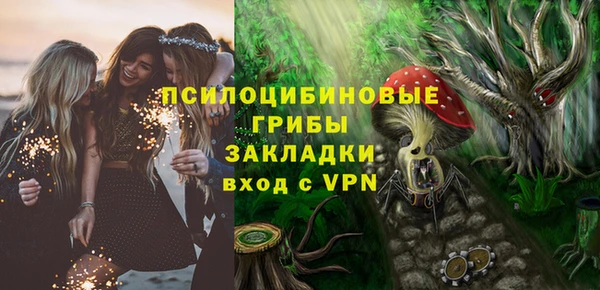 соль ск Бронницы